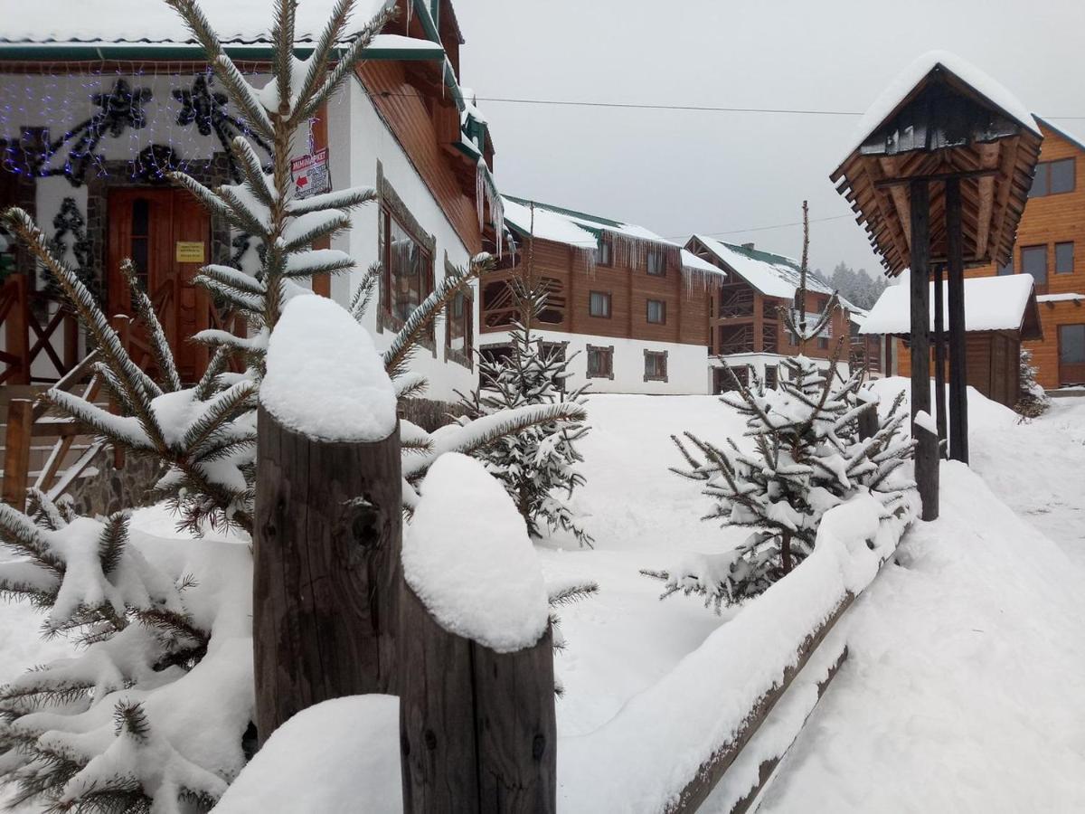Hotel Edelweiss Carpathians Myhove Extérieur photo
