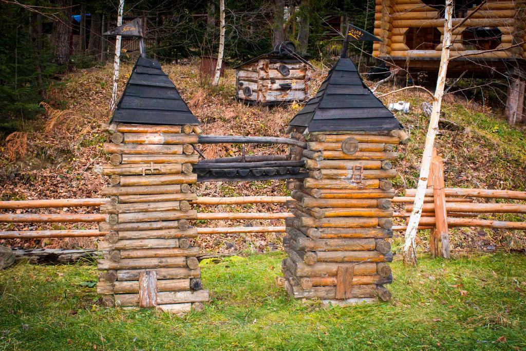 Hotel Edelweiss Carpathians Myhove Extérieur photo